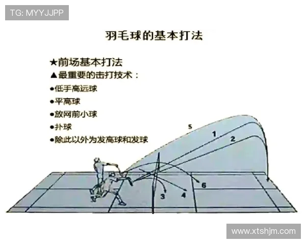 羽毛球盛宴：深入解析南京羽毛球队的训练与技术秘诀