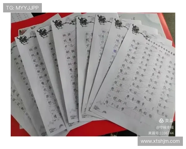 赵伟独家分享排球心得与技巧助你提升竞技水平和团队合作能力