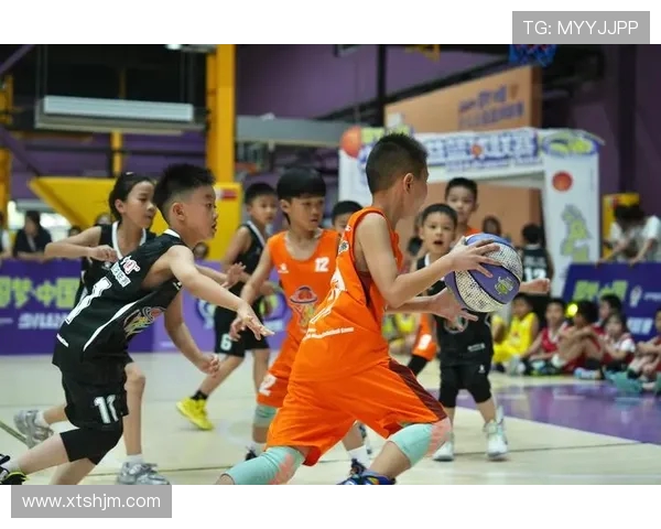 余嘉豪的成长之路与篮球梦想的追逐历程揭秘