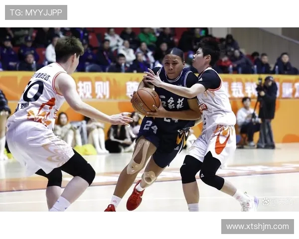 沈梓捷的篮球之路：从青年才俊到职业赛场的辉煌历程与未来展望