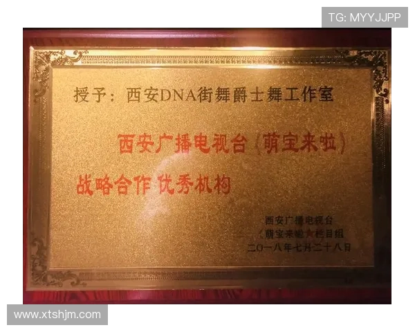 上海街舞队中路突破的成功与不足分析及未来发展方向探讨 上海街舞队中路突破的成功与不足分析及未来发展方向探讨