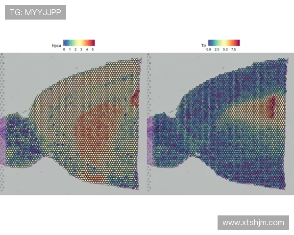 南京攀岩队技术表现数据分析揭示训练效果与提升空间 南京攀岩队技术表现数据分析揭示训练效果与提升空间