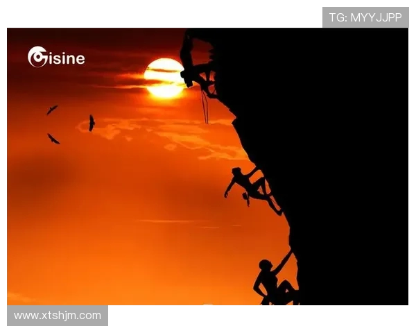 广州攀岩队团队协作的成功秘诀与挑战分析