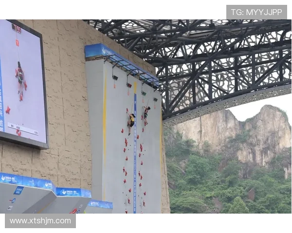 攀岩精神与团队默契的完美结合：走进杭州攀岩队的协作之道