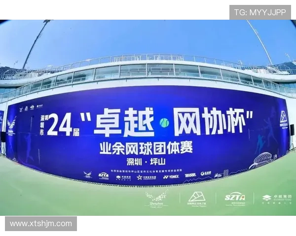 深圳网球队在洲际杯中的个人能力展现与战术分析